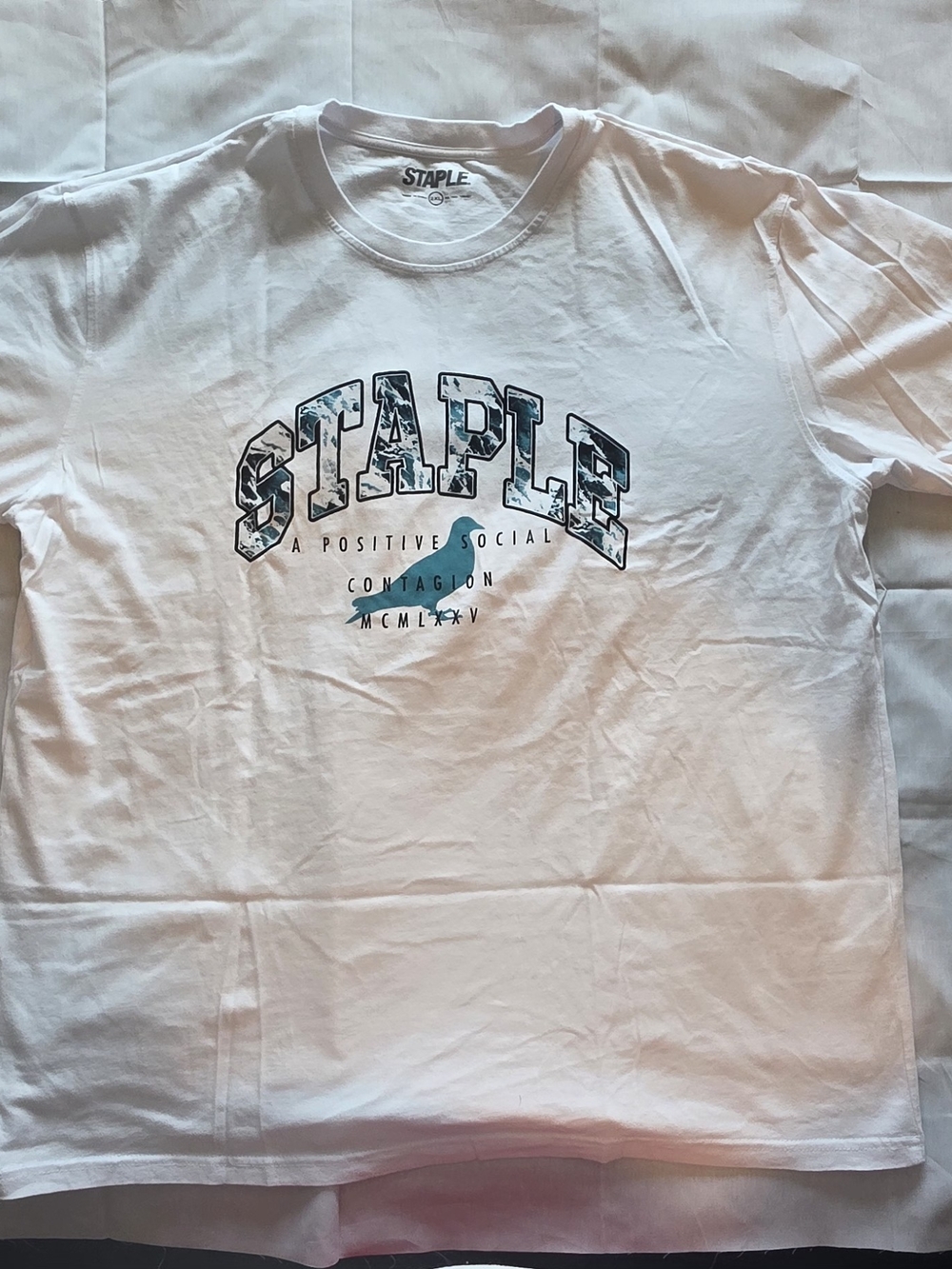Staple White Short Sleeve Graphic Tee with Teal Accent